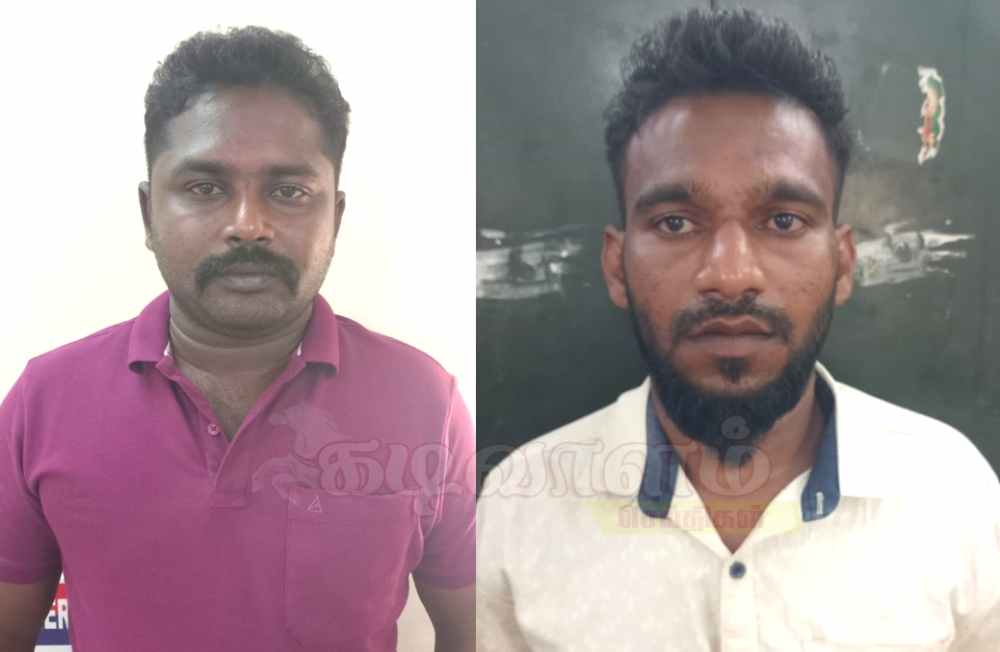தூத்துக்குடி:  காயல்பட்டினத்தில் மேய்ச்சலுக்கு சென்ற மாடுகளை திருடிய 2 பேர் கைது