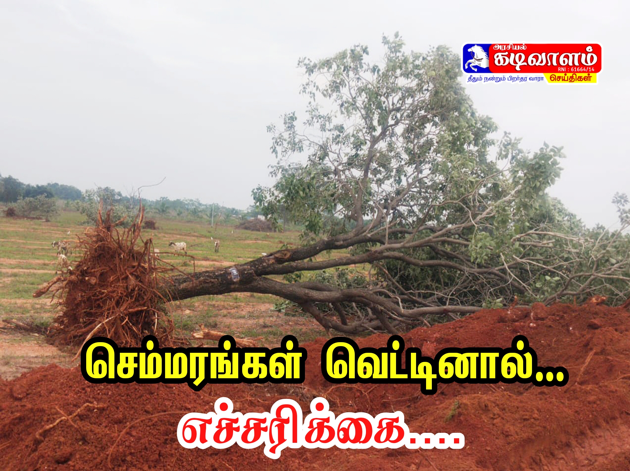 தூத்துக்குடி ஒட்டப்பிடாரத்தில் செம்மரங்கள் கைப்பற்ற துடிப்போருக்கு எச்சரிக்கை.!