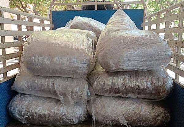 தூத்துக்குடியில் இருந்து இலங்கைக்கு கடத்த முயன்ற 200 கிலோ கடல் அட்டைகள் பறிமுதல்- 3 போ் கைது