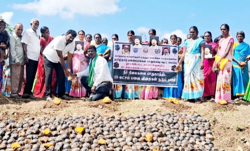 துணை முதல்வர் உதயநிதி ஸ்டாலின் பிறந்தநாள்- பனை விதை நடும் விழா- ஊராட்சி தலைவர் துவக்கி வைத்தார்