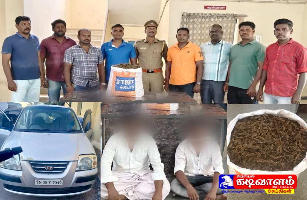 தூத்துக்குடியில் விற்பனைக்காக காரில் கஞ்சா வைத்திருந்த 3 பேர் கைது - 11 கிலோ 500 கிராம் கஞ்சா மற்றும் ஒரு கார் பறிமுதல்