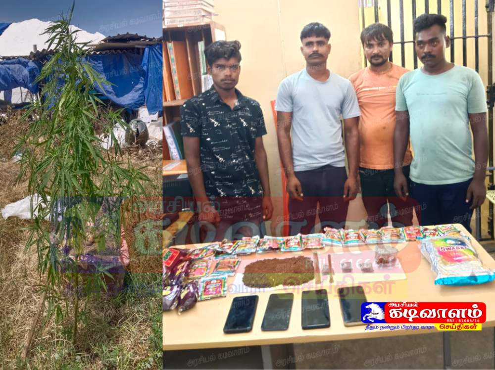 தூத்துக்குடி உப்பளத்தில் கஞ்சா செடி வளர்த்த பீகார் மாநிலத்தை சேர்ந்த 4 பேர் கைது
