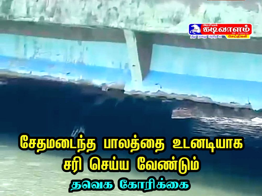 சேதமடைந்த தூத்துக்குடி பீச் ரோடு பாலத்தை உடனடியாக சீரமைக்க தமிழக வெற்றி க்கழகம் கோரிக்கை