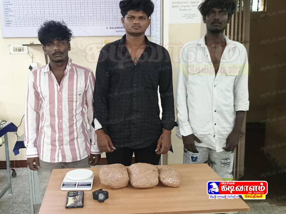 தூத்துக்குடியில் கஞ்சா விற்பனை செய்த 4 பேர் கைது